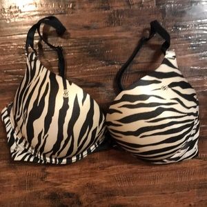 VS Zebra Bombshell